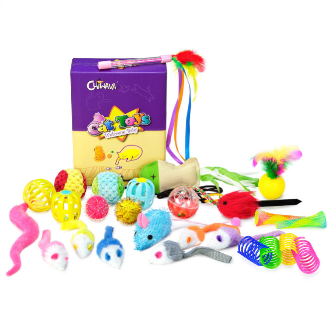 CHIWAVA 24PCS Interactive Cat Toy Set Indoor Kitten Toys Box Variety Pack